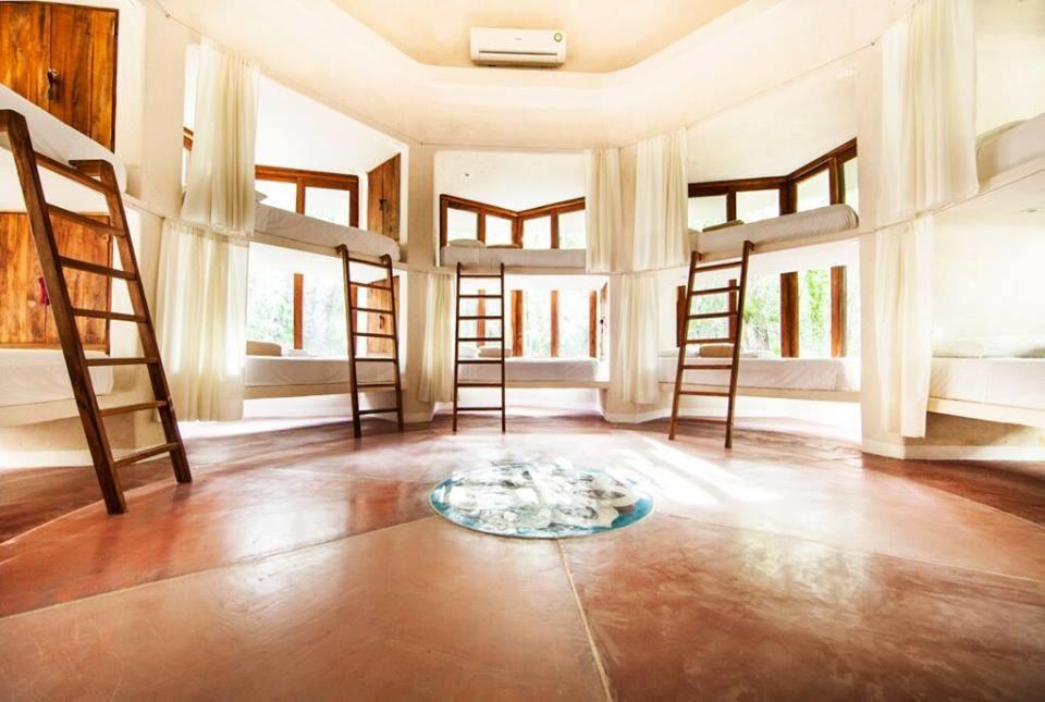 The Beehive Experience At Holistika Ostello Tulum